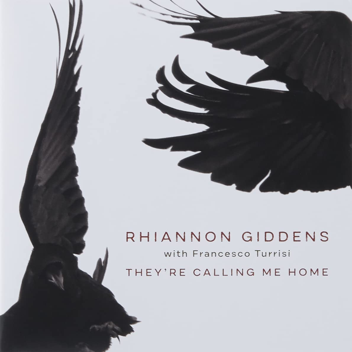 RHIANNON GIDDENS & FRANSESCO TURRISI: They're Calling Me Home