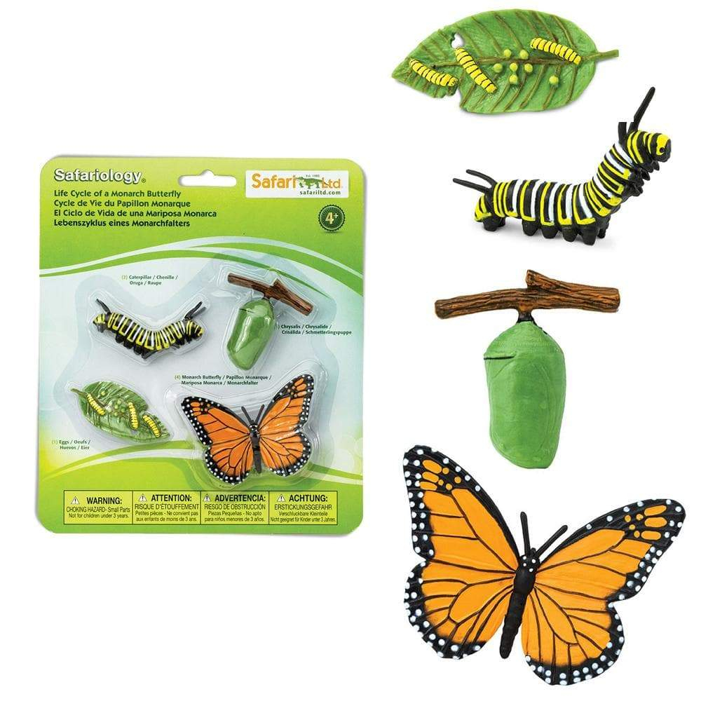 Safari Ltd. Ciclo de vida da borboleta