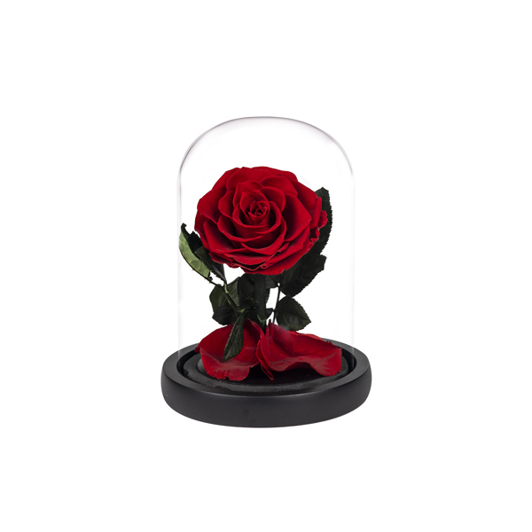 Ruža v skle Mini ČERVENÁ