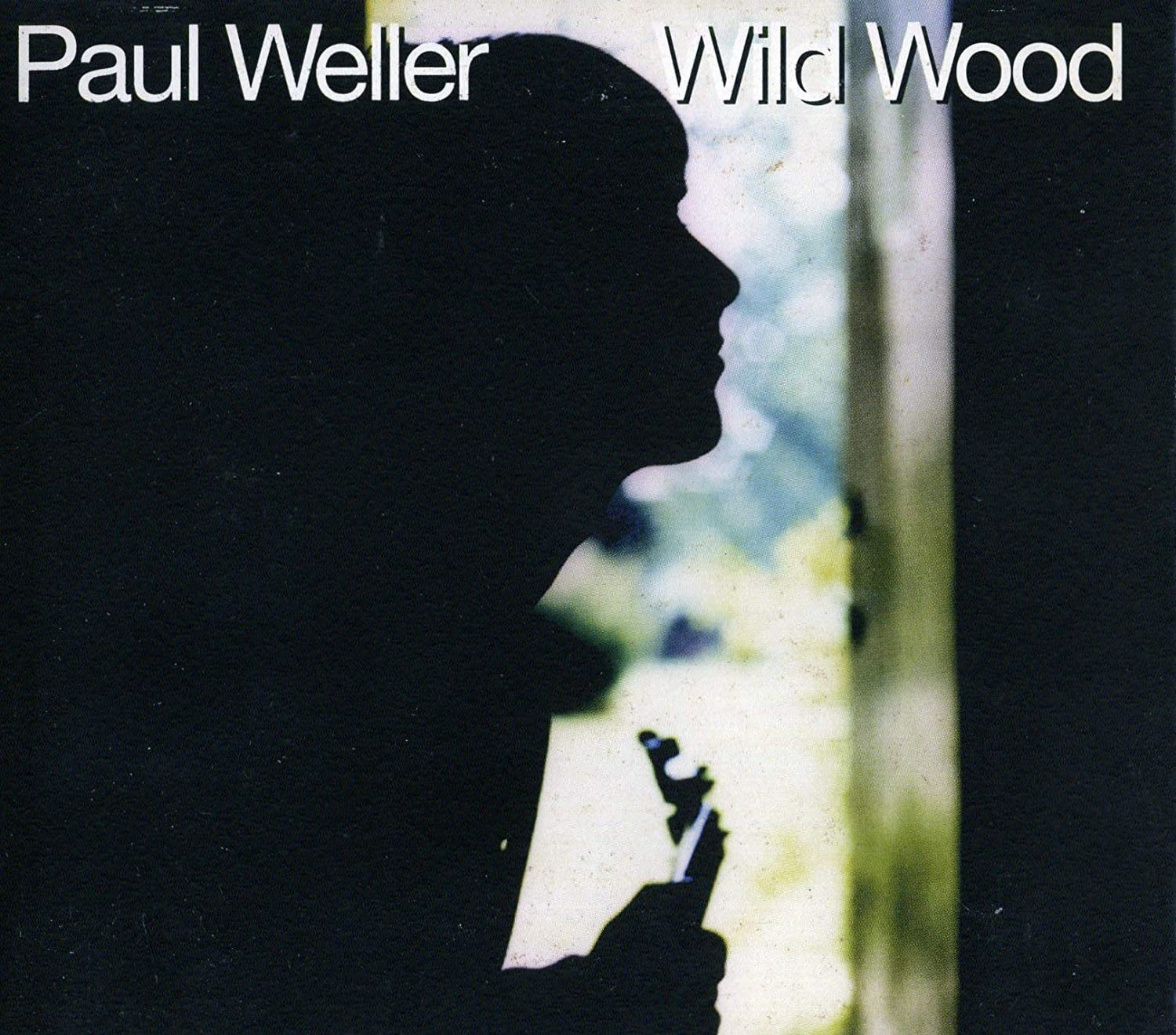 PAUL WELLER: Wild Wood