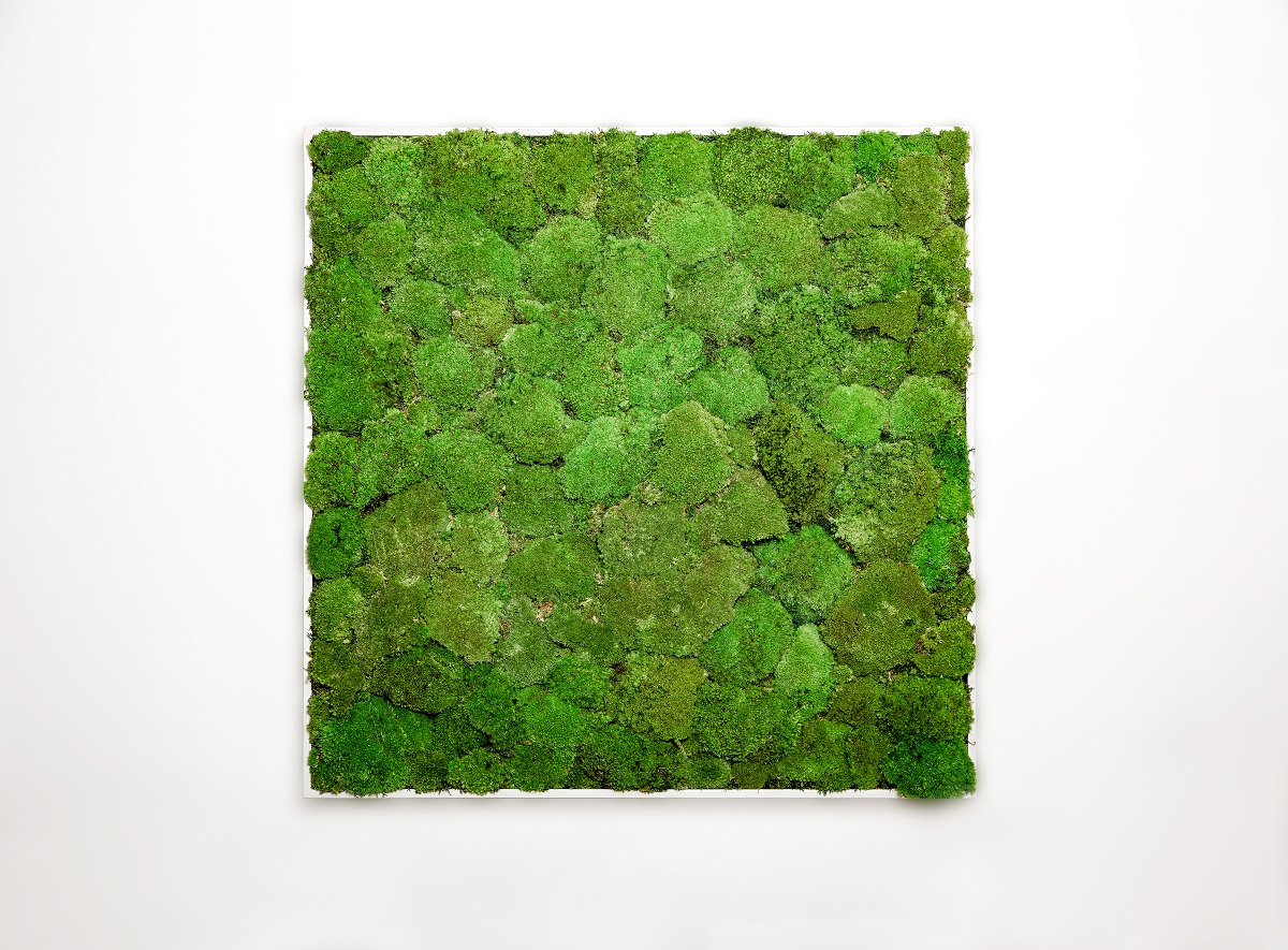 Zelený vrch | 80x120 cm