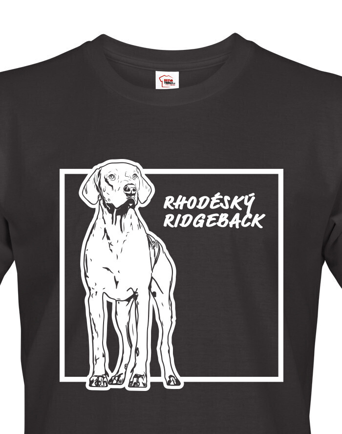 Pánské tričko Rhodéský ridgeback 2