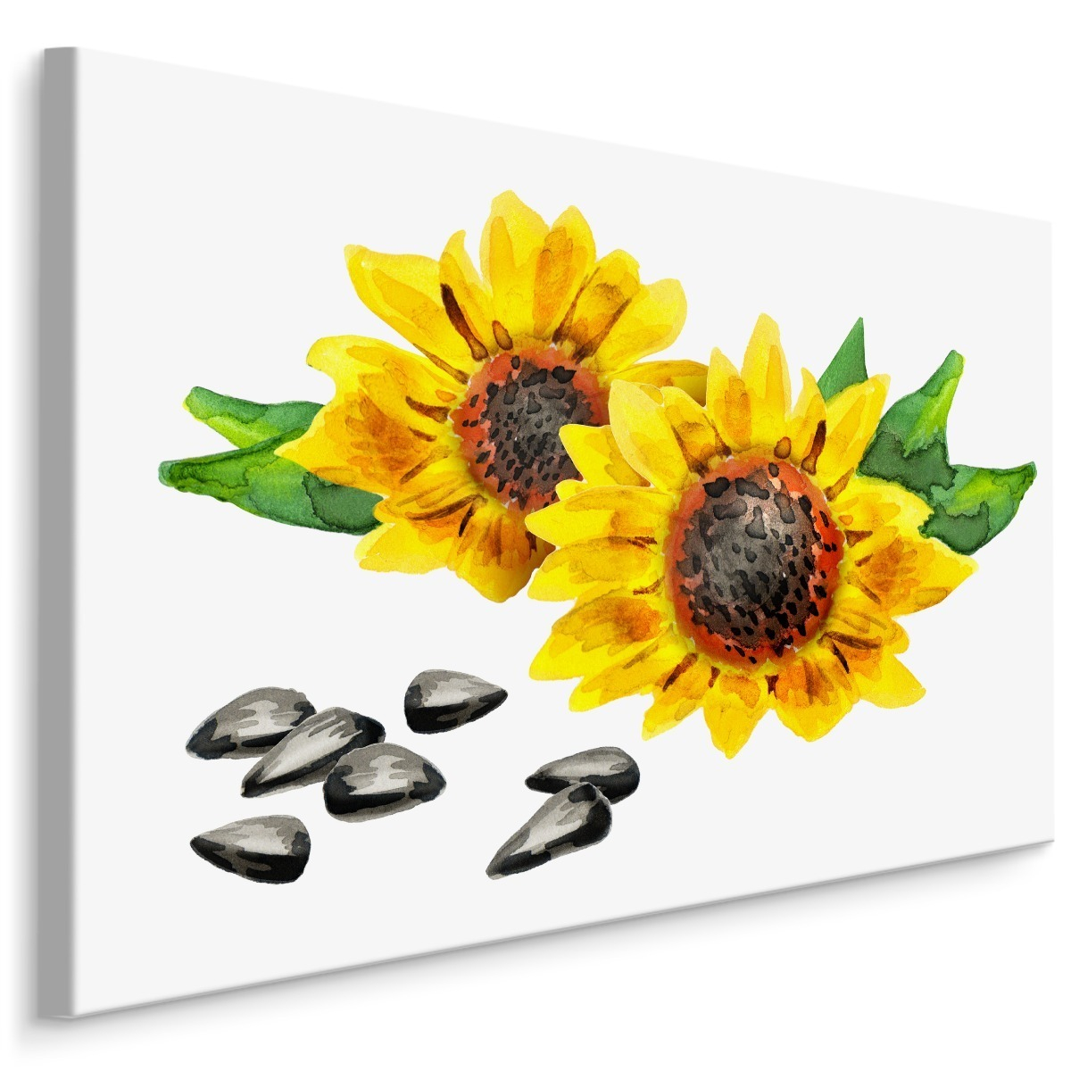 Plátno Květiny A Slunečnicová Semínka Varianta: 120x80