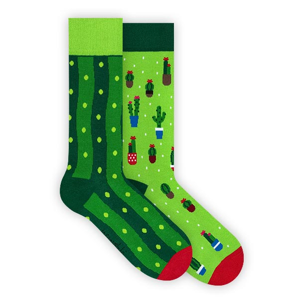 Veselé Ponožky Nanushki Endless Sockulent - Kaktus - 36-39