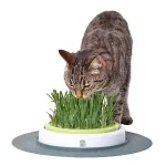CatIt Senses Grass Garden macskafűnevelő