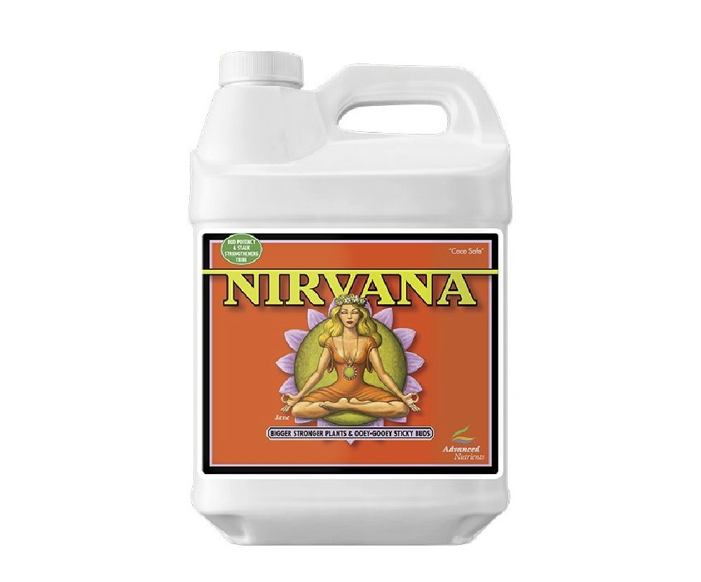AN - Nirvana AN - Nirvana: 4L