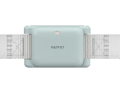 Receiver for training collar Patpet 628