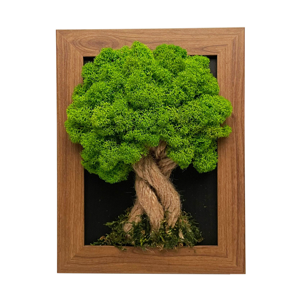 Krásny machový strom - tmavohnedý rám 17 x 22 cm