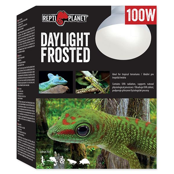 REPTI PLANET Daylight Frosted izzó 100W