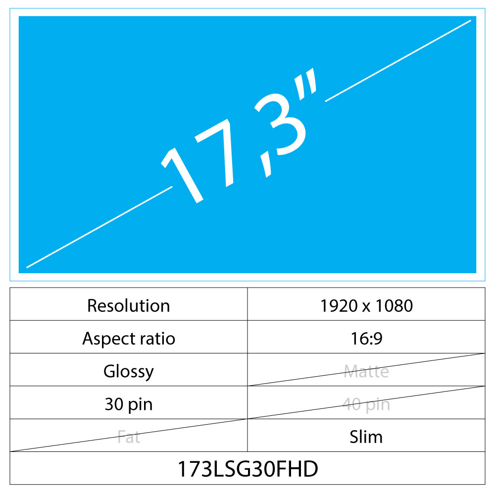 17.3 LCD Glossy 30 pin FHD
