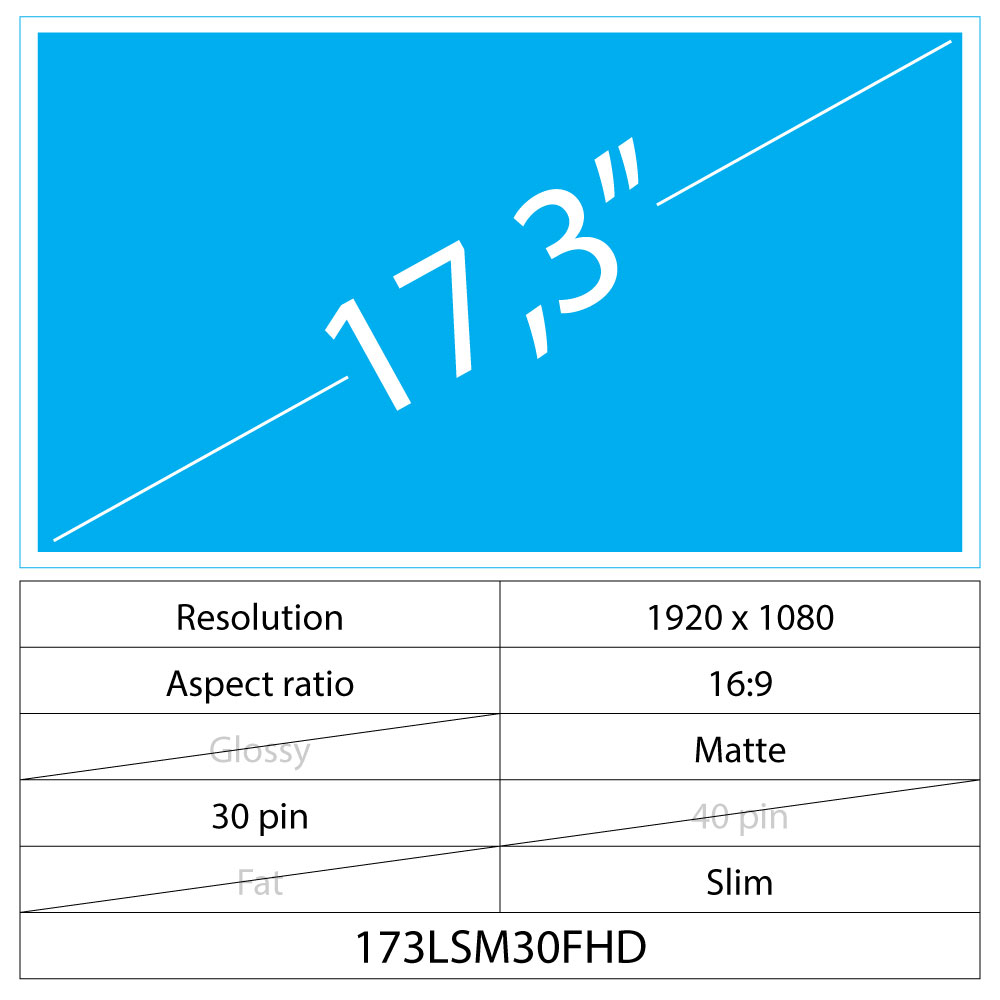 17.3 LCD Slim Matte 30 pin FHD