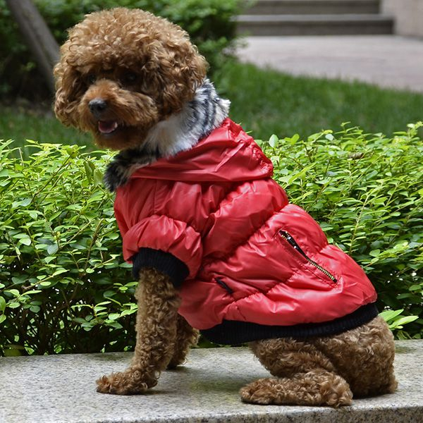 Jachetă pentru câine, cu manşete negre - roşu, XS