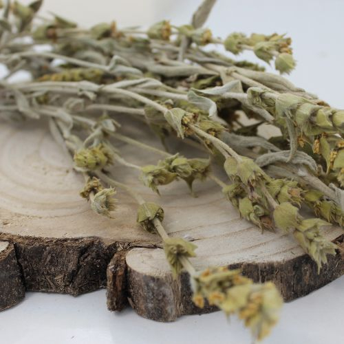 Herbata górska mursalska, gojnik macedoński - - ziele - Sideritis scardica - Herba sideritis scardica 1000 g