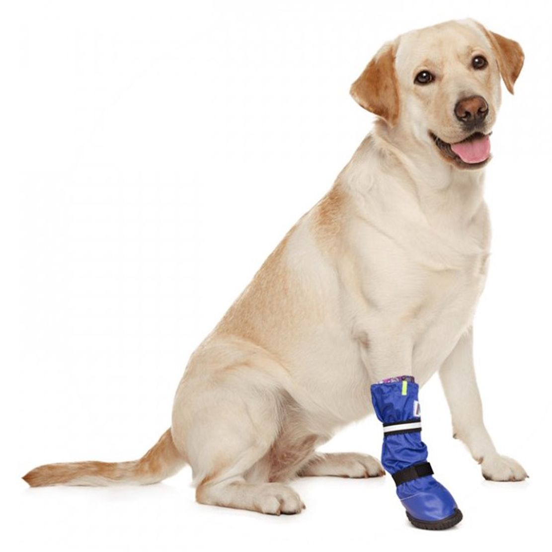 MPS Műtét utáni cipő kutyák részére L