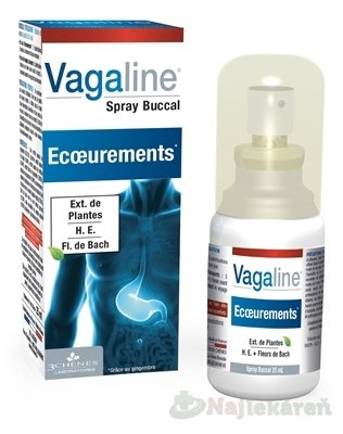 3CHENES Vagaline Spray Buccal, sprej proti zvracaniu, 25ml