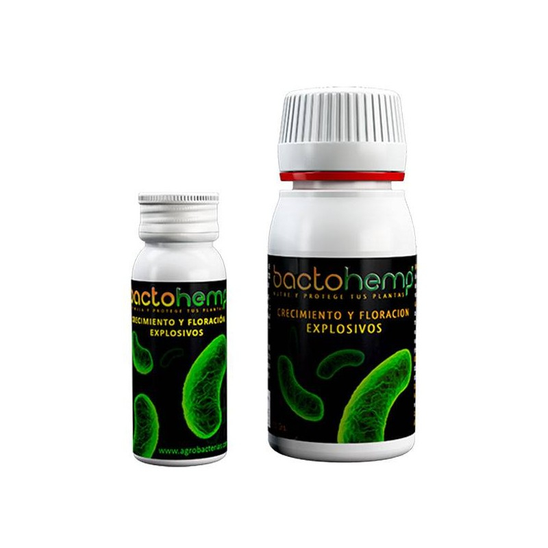 Bactohemp - organický stimulant, 50g