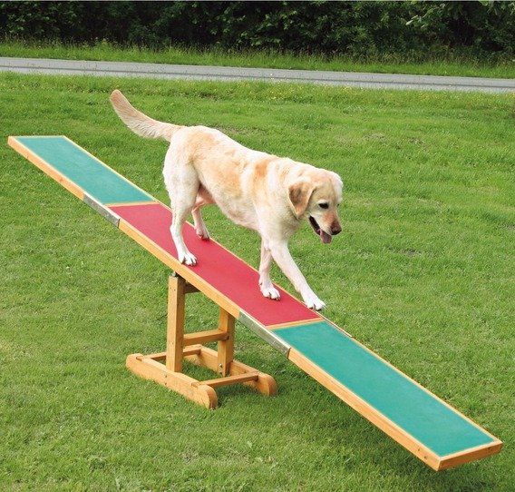 Agility swing/bridge 300x54x34cm, dog toy, pet supplies for dog fun