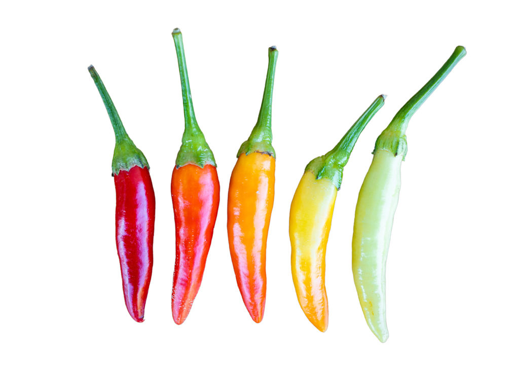 Spicy Chilli Pepper Seeds YUCATAN