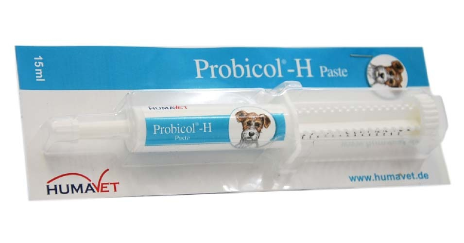 Pâte Agrochemica probicol-H pour chiens et chats 15 ml