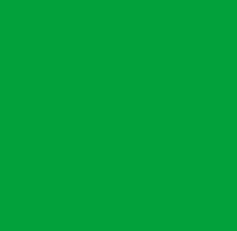 Nažehľovacia fólia PlottiX SpeedFlex 18 - Frog green