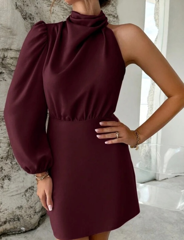 Burgundy elegant dress