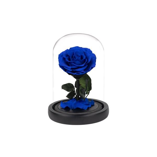 Rose i en Mini BLÅ Vase