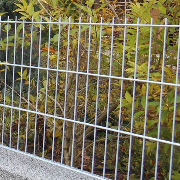 Pannello recinzione saldato BRAVO 2D zincato 1630 mm | occhio 50 × 200 mm | filo 6,0 / 5,0 mm