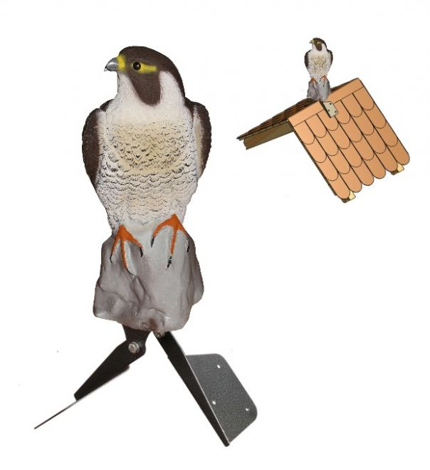 Bird of Prey Roof Shield