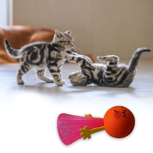 Skákajúca loptička pre mačky