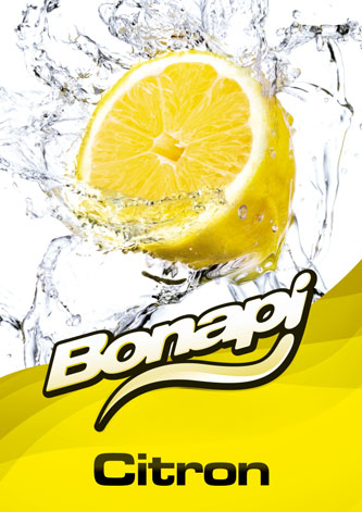 Bonapi CITRON - točené limonády post-mix (10l kanystr)