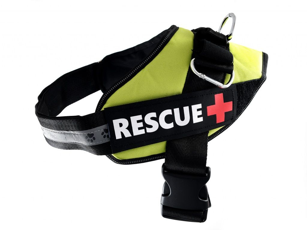 Rescue kutyahám L 65 - 72 cm, zöld
