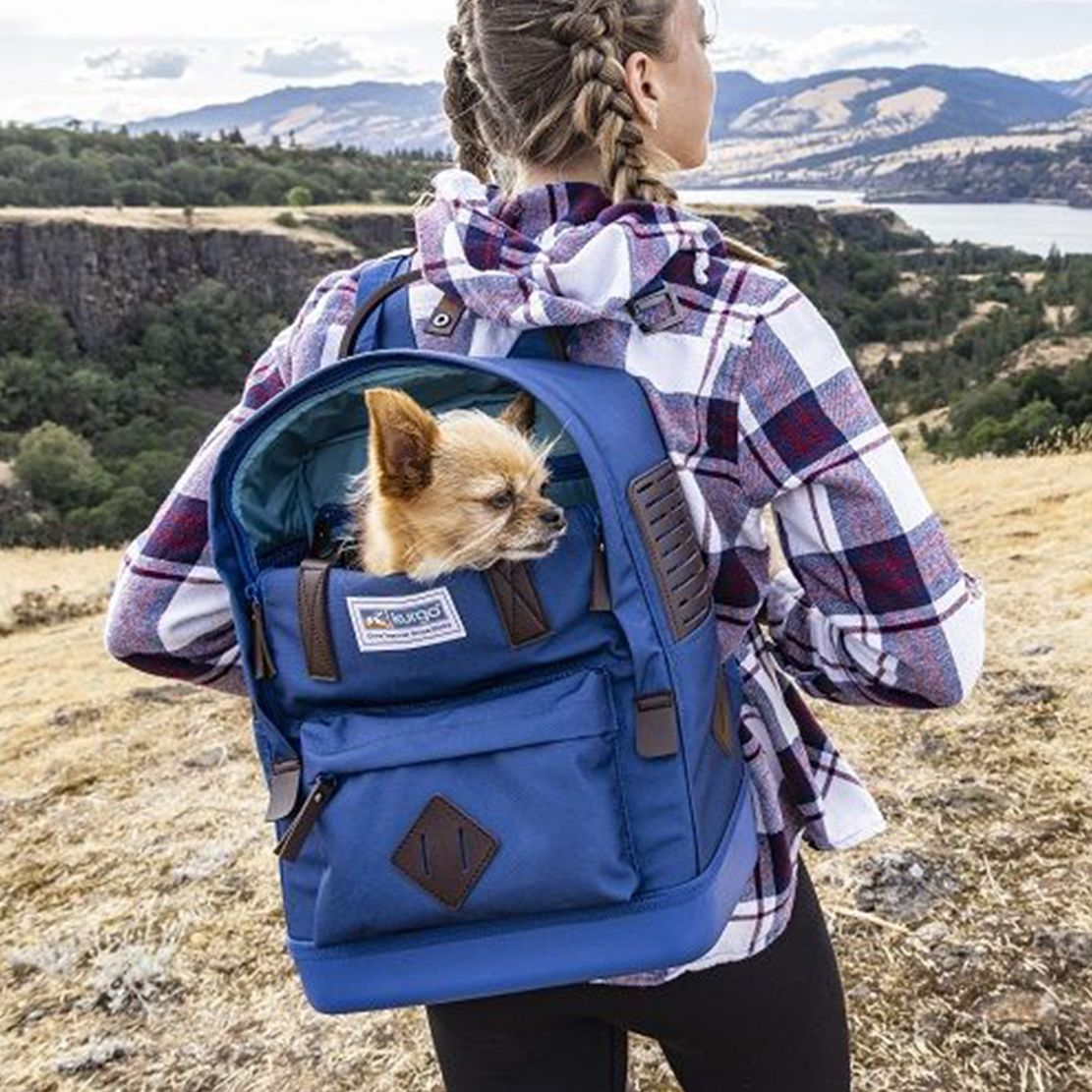 Kurgo Nomad hordozó hátizsák kutyának - kék