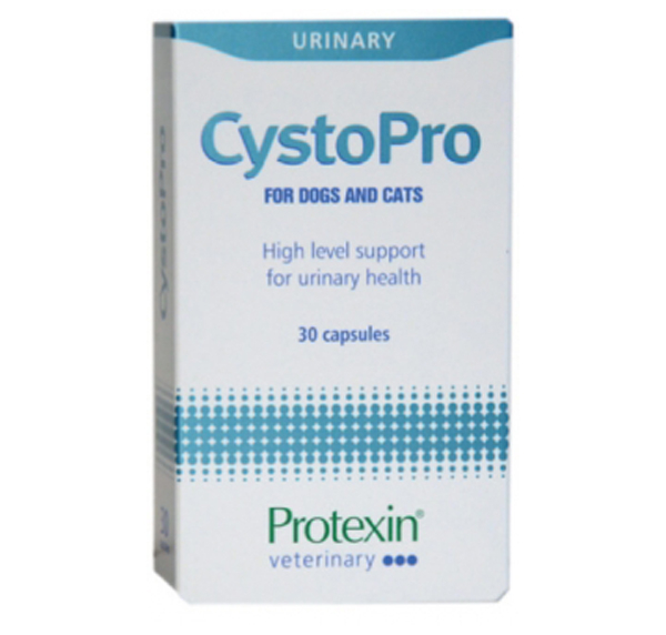 Probiotics International Ltd. Protexin Cystopro tbl 30