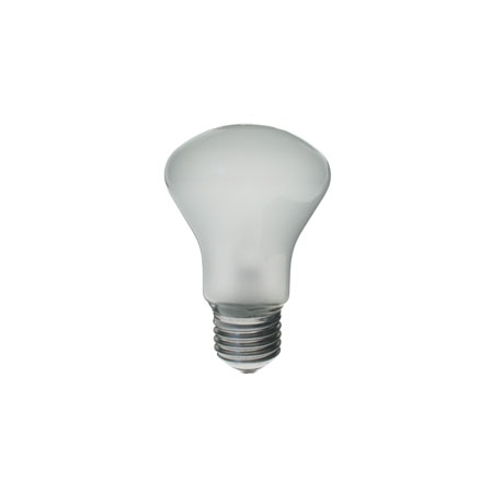Elinchrom 196V 100W E27 studio light bulb with control