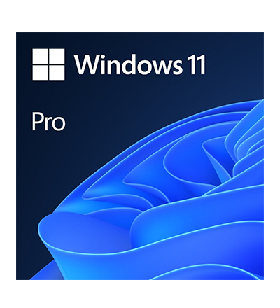 Microsoft Windows 11 Professional, CZ lifelong electronic license, 64-bit