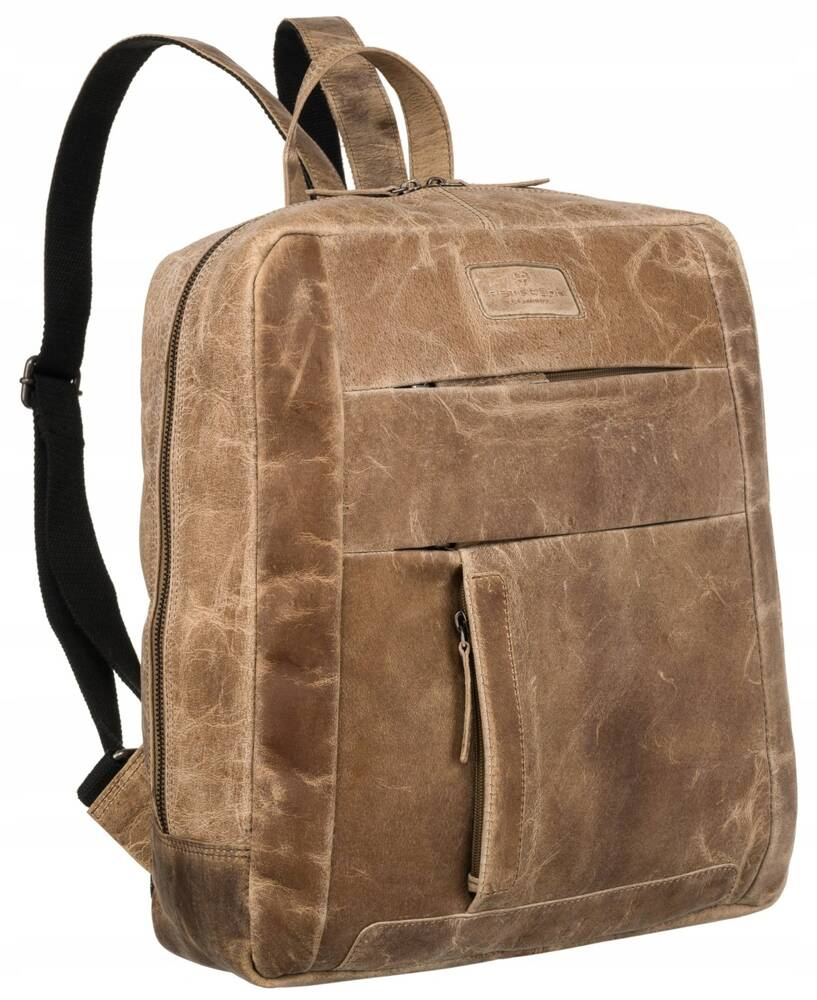 Elegant leather men's backpack - Peterson