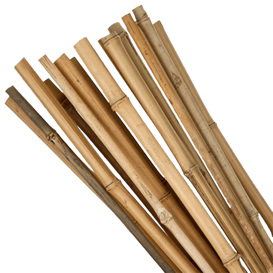 Bamboe 60x2,5cm