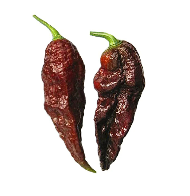 Spicy Paprika chilli BHUT JOLOKIA CHOCOLATE Seeds