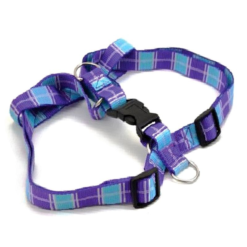 Zgardă pentru câini - albastru - violet S 1,6 x 30 - 45 cm