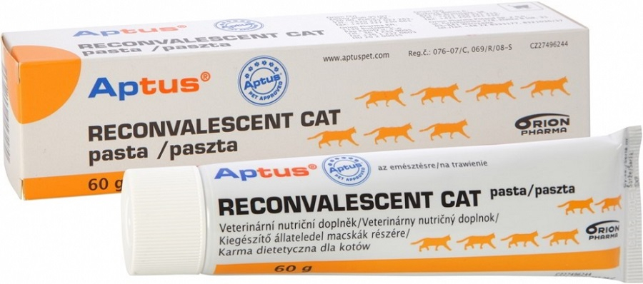 Aptus Reconvalescent Cat pasta 60 g