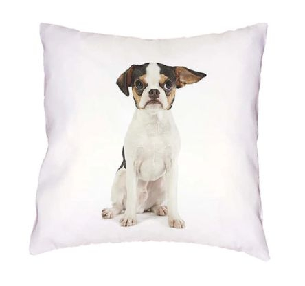 Cushion Cover 45x45 Dog Phlegmatic - CLEARANCE SALE