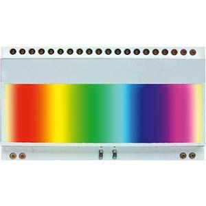 Display Visions EA LED55x31-RGB