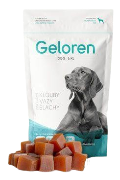 GELOREN Large dog L-XL žuvacie tablety želatínové kocky 60 ks