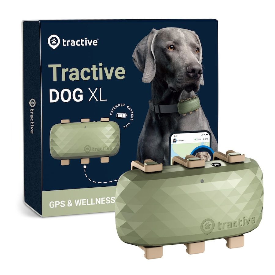 Tractive GPS Dog XL Locator für Hunde grün