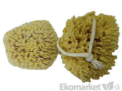 Natural Sea Wool Sponge 8 - 9 cm - on a string